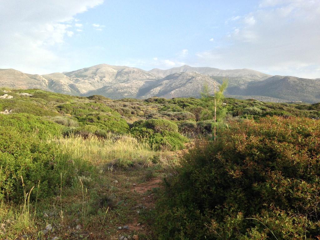Hotel Blue Island Hersonissos  Zewnętrze zdjęcie